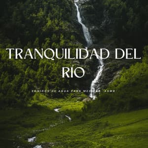 Tranquilidad Del Río: Sonidos De Agua Para Meditar - Los disparadores ASMR