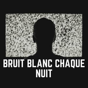 Bruit Blanc Chaque Nuit - Bruit Brun