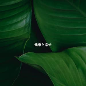 健康と幸せ - Smooth Dinner Jazz Group