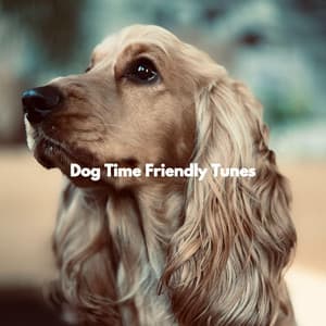 Dog Time Friendly Tunes - Classy Relaxing Dog Music