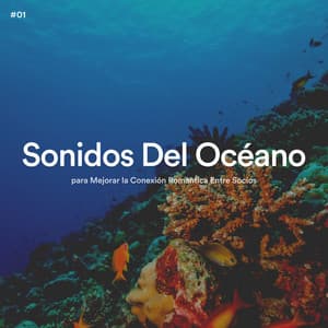 #01 Sonidos Del Océano para Mejorar la Conexión Romántica Entre Socios - Olas del Mar