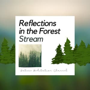 Reflections in the Forest Stream - Nature Meditation Channel