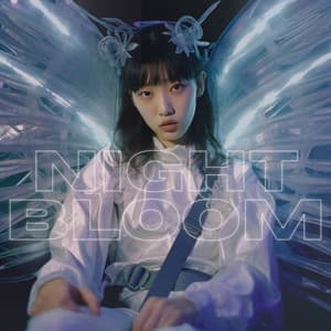 Night Bloom: Echoes of the Glow - Evening Chill Out Music Academy