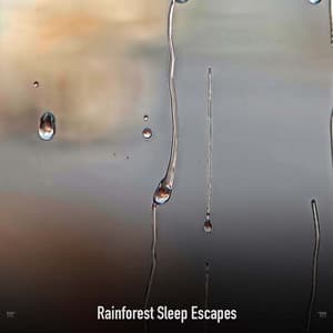 !!!!" Rainforest Sleep Escapes "!!!! - Sonidos De Truenos y Lluvia