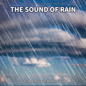 #01 The Sound of Rain for Sleep, Relaxation, Wellness, Fear - Rain Sounds to Fall Asleep To