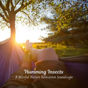 Humming Insects: A Blissful Nature Relaxation Soundscape - Nature Sounds Library