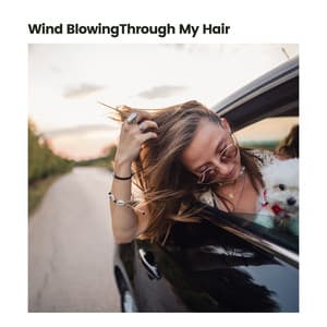 Wind BlowingThrough My Hair - Box Fan Sounds