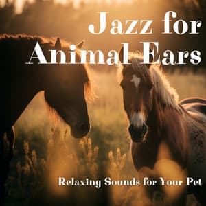 Jazz for Animal Ears: Relaxing Sounds for Your Pet - Jazz Pets Relax
