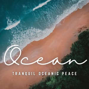 Oceanic Zen: Meditative Soundscapes - Calming Brown Restful Sounds