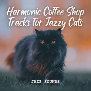 Jazz Sounds: Harmonic Coffee Shop Tracks for Jazzy Cats - Paris Cafe Jazz