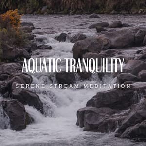 Aquatic Tranquility: Meditative Streams - Aquagirl