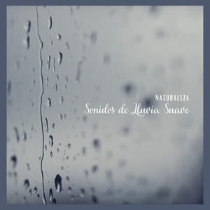 Naturaleza: Sonidos de Lluvia Suave - Naturaleza