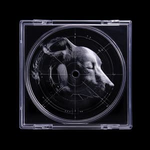 Im Hafen der Canine-Träume: Eine Ode an den Fang - Schlafende Musik für Hunde