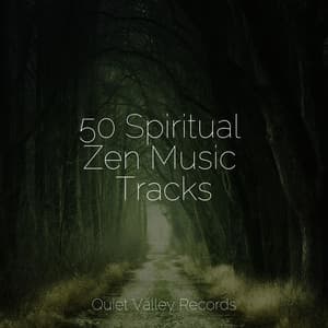50 Spiritual Zen Music Tracks - Schlaflieder Relax