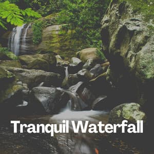 Tranquil Waterfall - Nature Sounds Artists