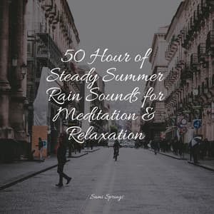 50 Ambient Rain Sounds for Deep Sleep & Relaxation - Fabricantes De Lluvia