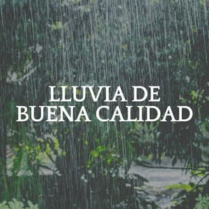 Lluvia de Buena Calidad - Sonidos De Lluvia