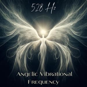 528 Hz Angelic Vibrational Frequency: Instant Manifestation While Sleeping - Relieve Stress Music Academy