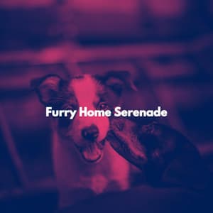 Furry Home Serenade - Cafetería Jazz