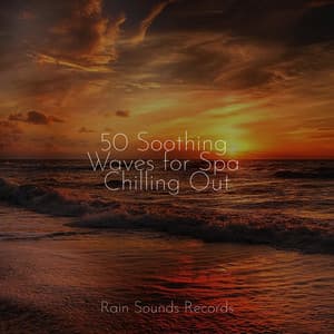 50 Soothing Waves for Spa Chilling Out - Binaural Beats Brainwave Entrainment