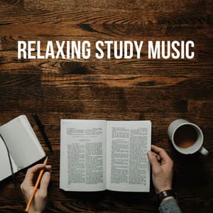 Relaxing Study Music - Study Music & Sounds