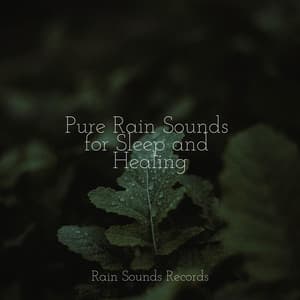 Pure Rain Sounds for Sleep and Healing - Musica Para Estudiar Academy