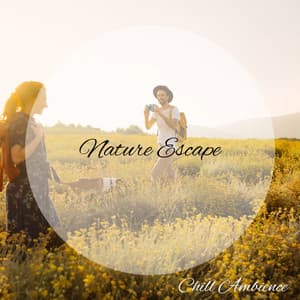 Chill Ambience: Nature Escape - White Noise Sleep Sounds