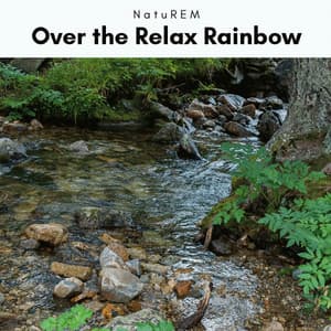 1 Over the Relax Rainbow - NatuREM