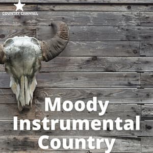 Moody Instrumental Country - Country Channel