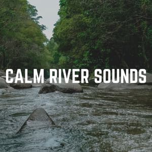 Calm River Sounds - Babbling Brook
