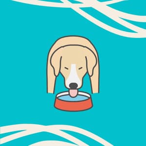 Music for Nocturnal Pups - Romantic Jazz Quintet - Dog Anxiety Music