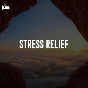 Stress Relief - Breathing Music