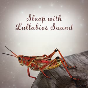 Sleep with Lullabies Sound - Sleeping Aid Music Lullabies