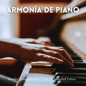 Armonía De Piano: Sonidos Tranquilizantes Para La Ansiedad Felina - PianoDeuss