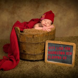 Vitt ljud för barnsömn och slappna av - Lugn Musik Atmosfär