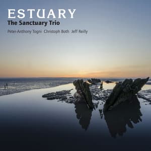 Estuary - The Sanctuary Trio - Peter-Anthony Togni