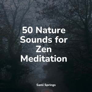50 Nature Sounds for Zen Meditation - Meditation Music Club