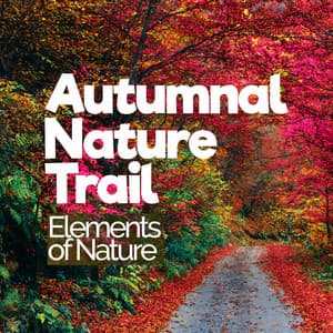 Autumnal Nature Trail - Elements of Nature