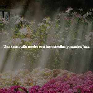 Una tranquila noche con las estrellas y música Jazz - Rio Bossa Nova Quartet