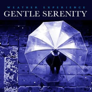 Gentle Serenity - Weather Experience