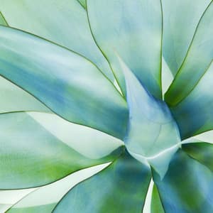 Vintage Music for Earthly Relaxation - Chill Out - Coffee jazz Relax