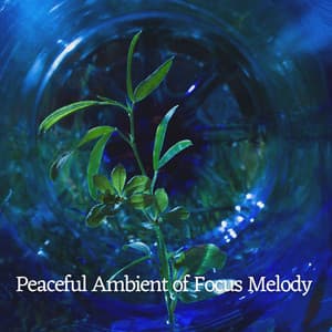 Peaceful Ambient of Focus Melody - Mind of Peace