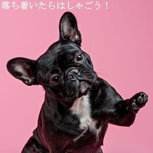 落ち着いたらはしゃごう！ - Musik zum Lesen