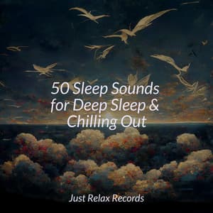 50 Sleep Sounds for Deep Sleep & Chilling Out - Deep Sleep Relaxation