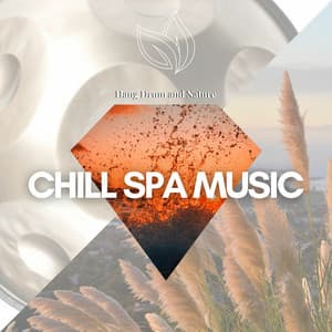 Chill Spa Music - Amazing Spa Music