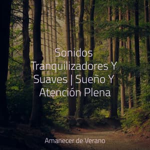 Sonidos Tranquilizadores Y Suaves | Sueño Y Atención Plena - Musica Relajante & Yoga