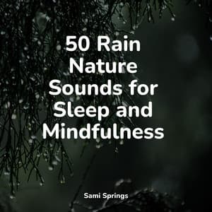 50 Rain Nature Sounds for Sleep and Mindfulness - Rain Sound Studio