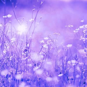 Music for Studying Legends - Dinner Party Jazz Radio