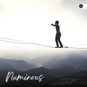 Numinous - Natural Sound Makers