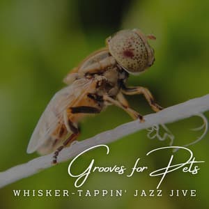 JazzPaws: Café Lounge Grooves for Pets - Jazz and Chill